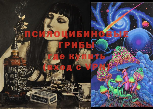 винт Абаза