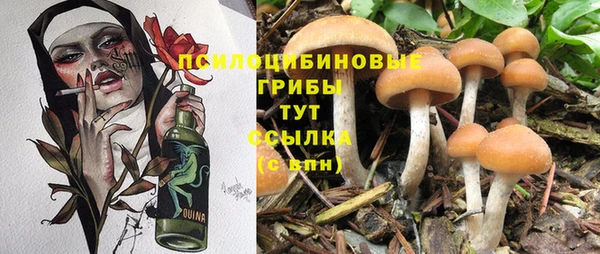 mdpv Абинск