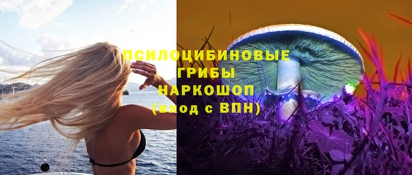 хмурый Алексеевка